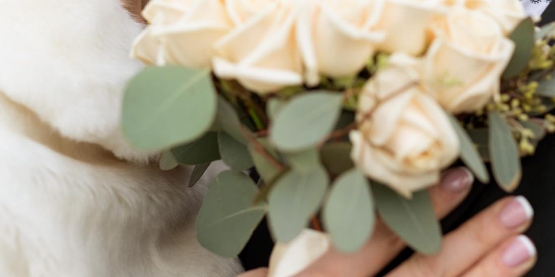 Winter wedding photoshoot. Bride and groom kiss