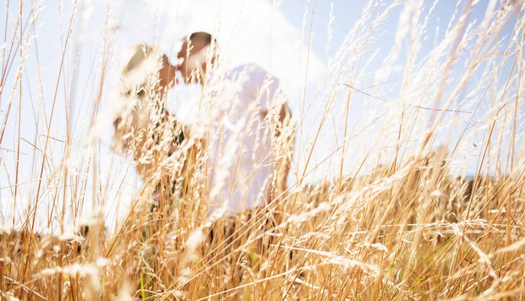 A silhouette photo of a couple kissing in the field. Engagement and wedding photography in West Midlands and Staffordshire